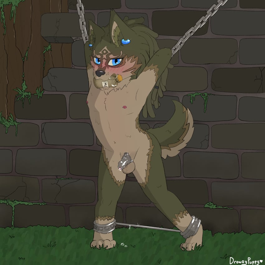 absurd_res arms_above_head arms_tied balls blue_eyes blush bodily_fluids bondage bottle bound brick chains chastity_cage chastity_device container cuff_(restraint) dreadlocks drowsypuppy ear_piercing ear_ring fur furry genital_fluids genitals grass green_body green_fur hi_res imminent_rape male male_focus male_only milk_bottle milk_container nintendo nipples paws penis piercing plant precum public public_exposure restrained restraints ring_piercing shackles tagme the_legend_of_zelda twilight_princess wolf_link