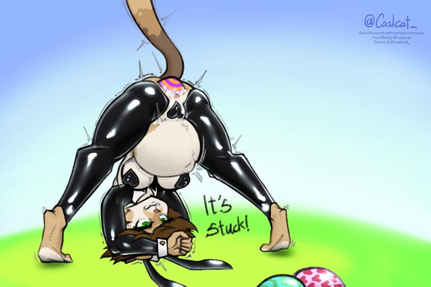 1girls anal anthro ass_up big_belly cavity_storage clothing coalcat costume digital_media_(artwork) domestic_cat egg egg_laying egg_play fake_ears fake_rabbit_ears felid feline felis female female_only helia_peppercats hi_res large_insertion lube mammal pasties penetration pussy_tape reverse_bunny_costume solo stuck_toy tape text