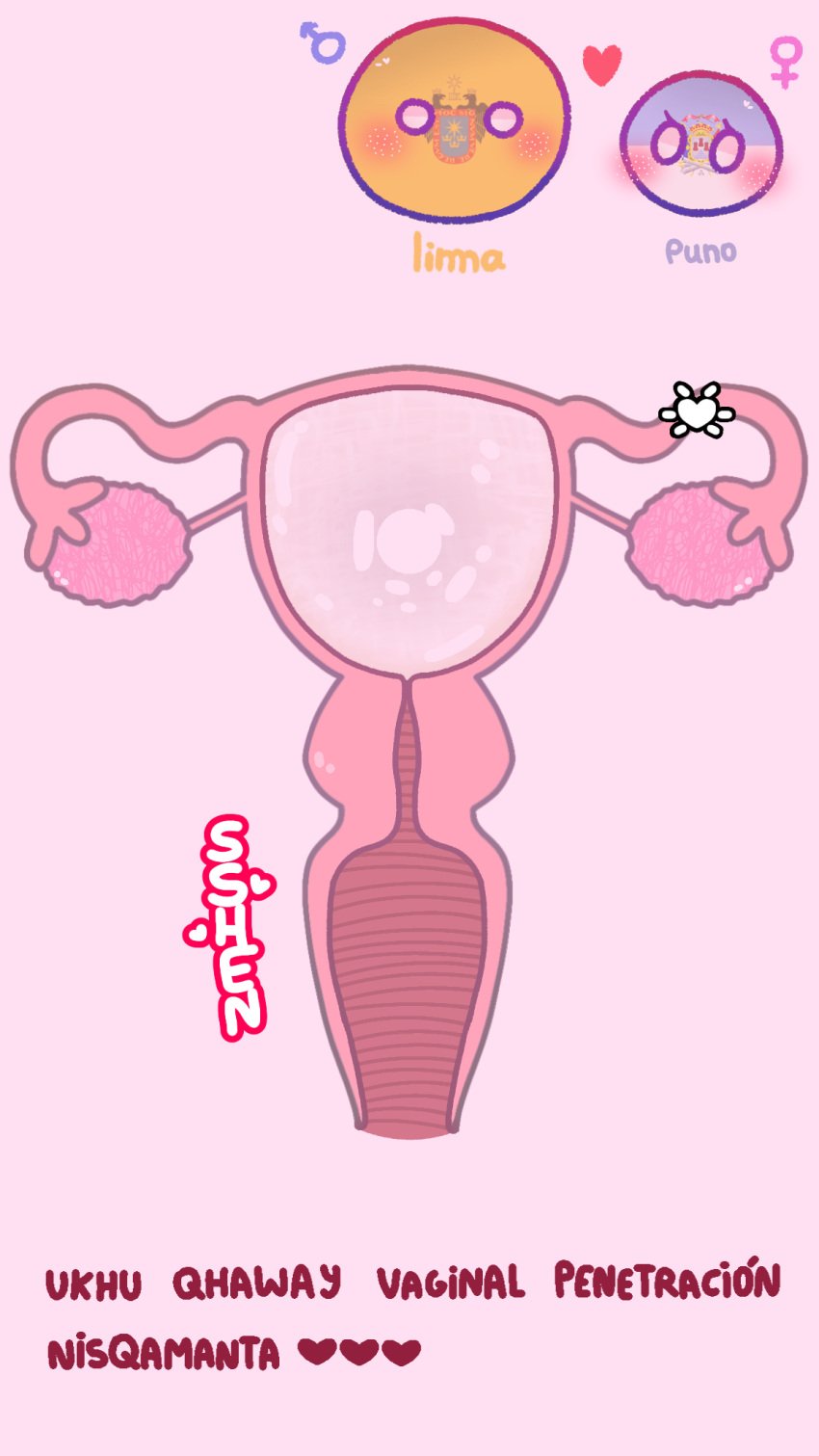 2d anatomically_correct anatomically_correct_uterus causa countryballs countryhumans countryhumans_girl departamenthumans egg_cell endometrium fallopian_tubes fimbria internal_vaginal internal_view labia labia_minora lima_(departamenthumans) mari_sumi myometrium organs ovaries perimetrium peru peruvian peruvian_female peruvian_male pink_background polandball puno_(departamenthumans) quechua_text reproductive_anatomy simple simple_background sound_effects text urethra uterus vagina