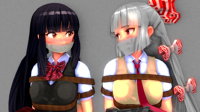 2girls 3d fujiwara_no_mokou gag kaguya_houraisan pikipiki_did tape_gag tied_up touhou