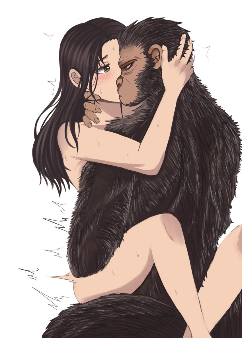 1boy 1girls anthro ape blush brown_hair chimpanzee female first_porn_of_character fur green_eyes human_on_anthro interspecies interspecies_sex leg_grab leg_wrap long_hair mae_(planet_of_the_apes) male male/female male_focus naked noa_(planet_of_the_apes) nude planet_of_the_apes sex sketch sweat white_background zoophilia