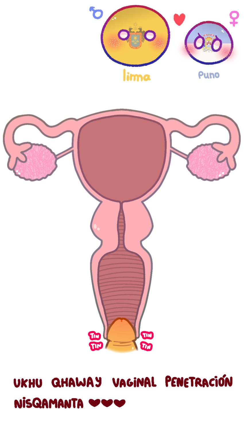 2d anatomically_correct anatomically_correct_uterus causa countryballs countryhumans countryhumans_girl departamenthumans dick endometrium fallopian_tubes fimbria glans internal_vaginal internal_view labia labia_minora lima_(departamenthumans) mari_sumi myometrium organs ovaries penetration perimetrium peru peruvian peruvian_female peruvian_male polandball puno_(departamenthumans) quechua_text reproductive_anatomy simple simple_background sound_effects text urethra uterus vagina vaginal_penetration white_background