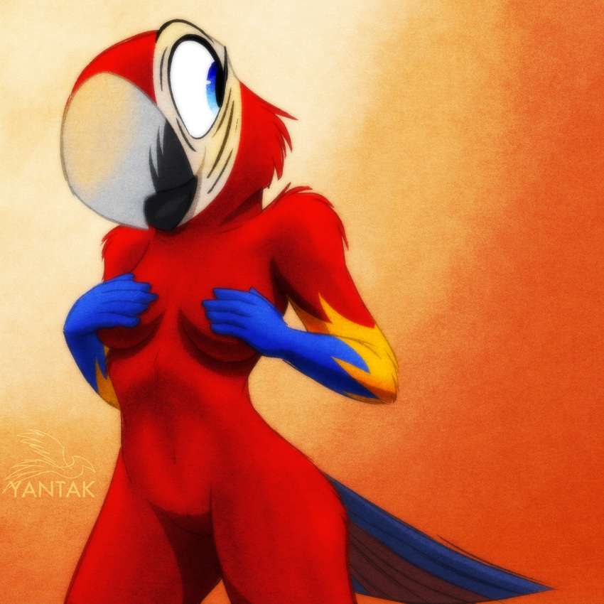 2020 anthro ara_(genus) avian beak big_beak bird blue_body blue_eyes blue_feathers breasts covering covering_breasts covering_self eyelashes feathers female genitals gradient_background hand_on_breast hi_res katnay macaw navel neotropical_parrot nude parrot pussy red_body red_feathers scarlet_macaw simple_background smile solo tail tail_feathers true_parrot white_body white_feathers wide_hips yellow_body yellow_feathers