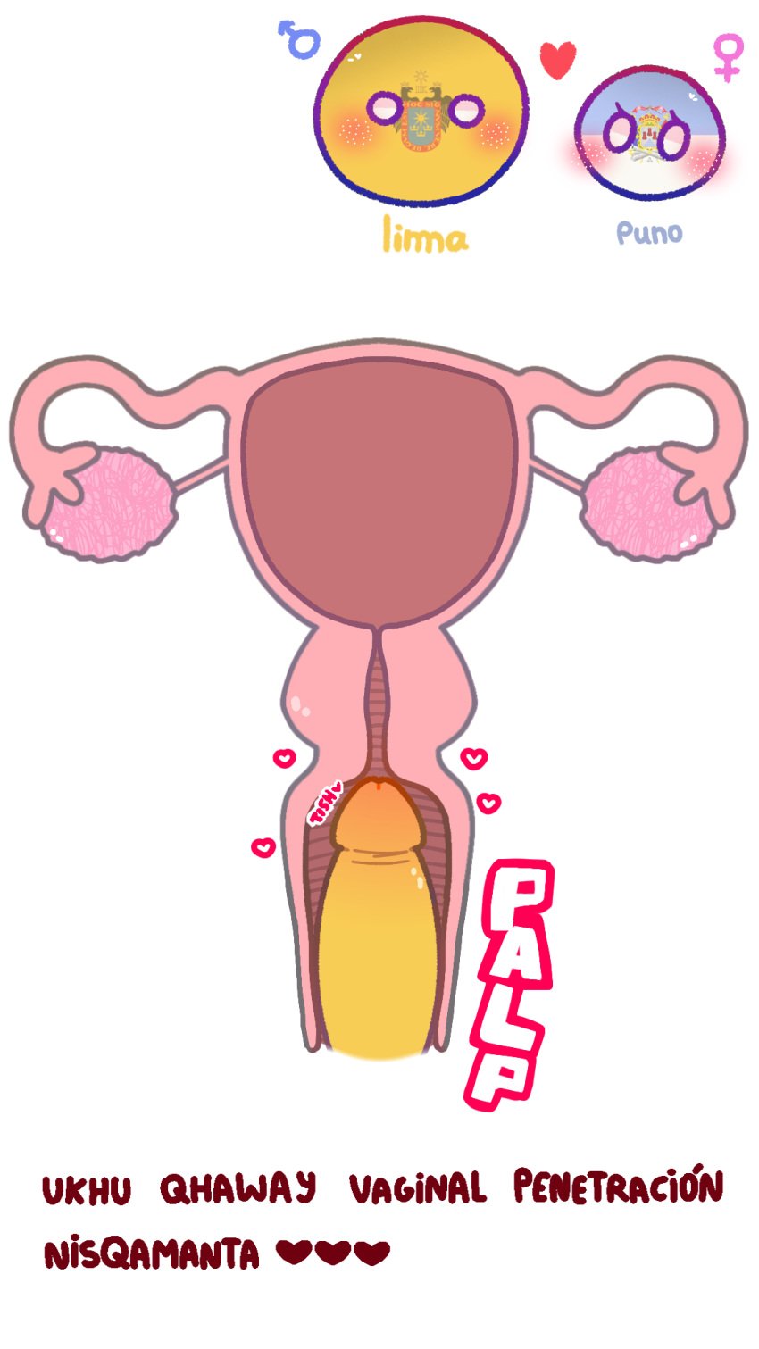 2d causa countryballs countryhumans countryhumans_girl departamenthumans dick fallopian_tubes internal_vaginal internal_view lima_(departamenthumans) mari_sumi ovaries penetration peru peruvian peruvian_female peruvian_male polandball puno_(departamenthumans) simple simple_background sound_effects urethra uterus vagina vaginal_penetration white_background