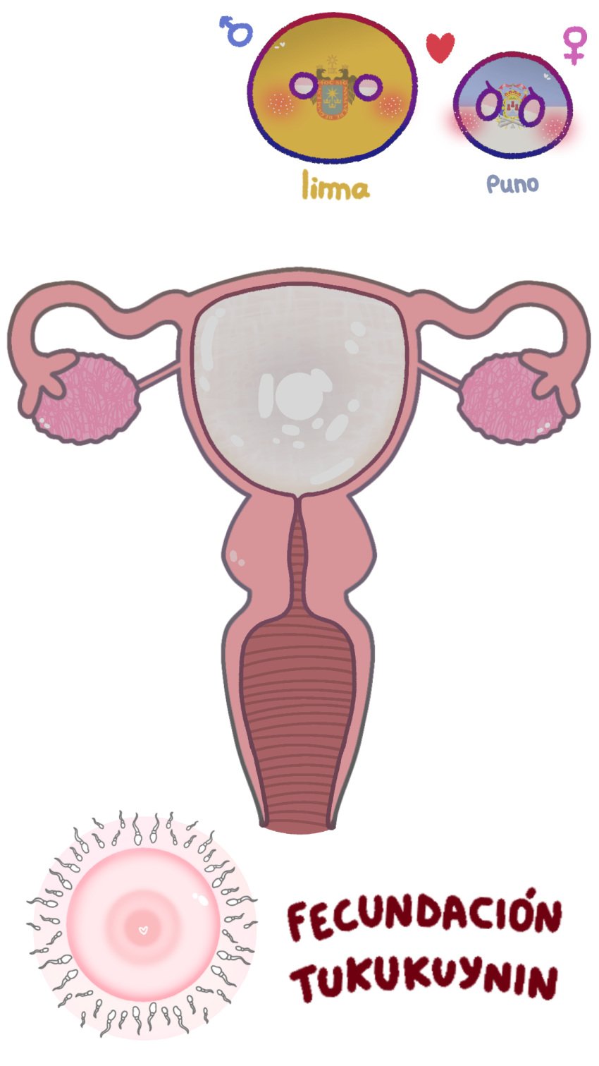 1boy 1girls 2d after_sex anatomically_correct anatomically_correct_uterus blush causa cervix cointryballs countryballs countryhumans countryhumans_girl curves departamenthumans educational egg_cell endometrium fallopian_tubes fertilization fimbria genital_fluids heart heart_symbol historical historical_porn impregnation internal_vaginal labia labia_minora lima_(departamenthumans) mari_sumi myometrium no_penetration organs ovaries ovulation ovum_with_heart perimetrium peru peruvian peruvian_female peruvian_male polandball puno_(departamenthumans) quechua_text reproductive_anatomy simple simple_background sperm_cell text uncensored urethra uterus vagina white_background