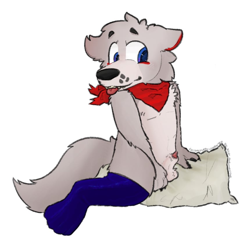 1anthro 1boy 2025 alternate_universe animal_genitalia animal_penis anthro anthro_male anthro_only bandana bandanna_on_neck becoming_erect black_eyebrows black_pawpads blue_eyes blue_eyes_male blue_latex blue_latex_thighhighs blue_stockings body_pillow bodypillow canine canine_genitalia canine_penis cheek_tuft cock dick digital_drawing_(artwork) digital_media_(artwork) ears_back fan_character fan_character_(fnaf) fanart felixmcfurry five_nights_at_freddy&#039;s fnaf fnaf_oc fur fur_tuft furry furry_male furry_only genitalia genitals gray_body gray_fur grey_body grey_fur latex latex_stockings light_gray_fur light_grey_body light_grey_fur male male_anthro male_furry male_only markings_(fur) neckerchief no-human no_background no_human no_humans oc_only on_pillow only_furry only_male original_character otto_wolf penis penis_peek pillow png red_bandana red_bandanna red_genitals red_markings red_neckerchief red_tongue shaded shading sheath sheathed sheathed_penis sitting sitting_on_pillow solo solo_anthro solo_furry solo_male stockings stockings_thigh_highs tail tongue tongue_out transparent_background wolf wolf_love