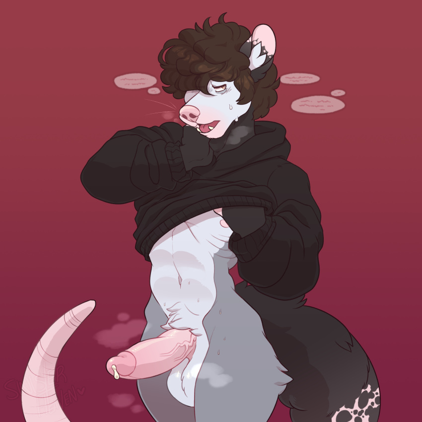 Absurd Res Rule 34 Image