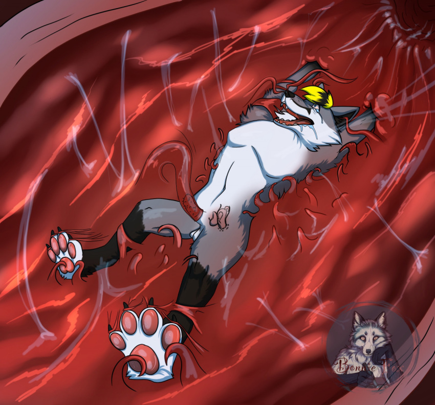 Digital Media (Artwork) Rule 34 Image