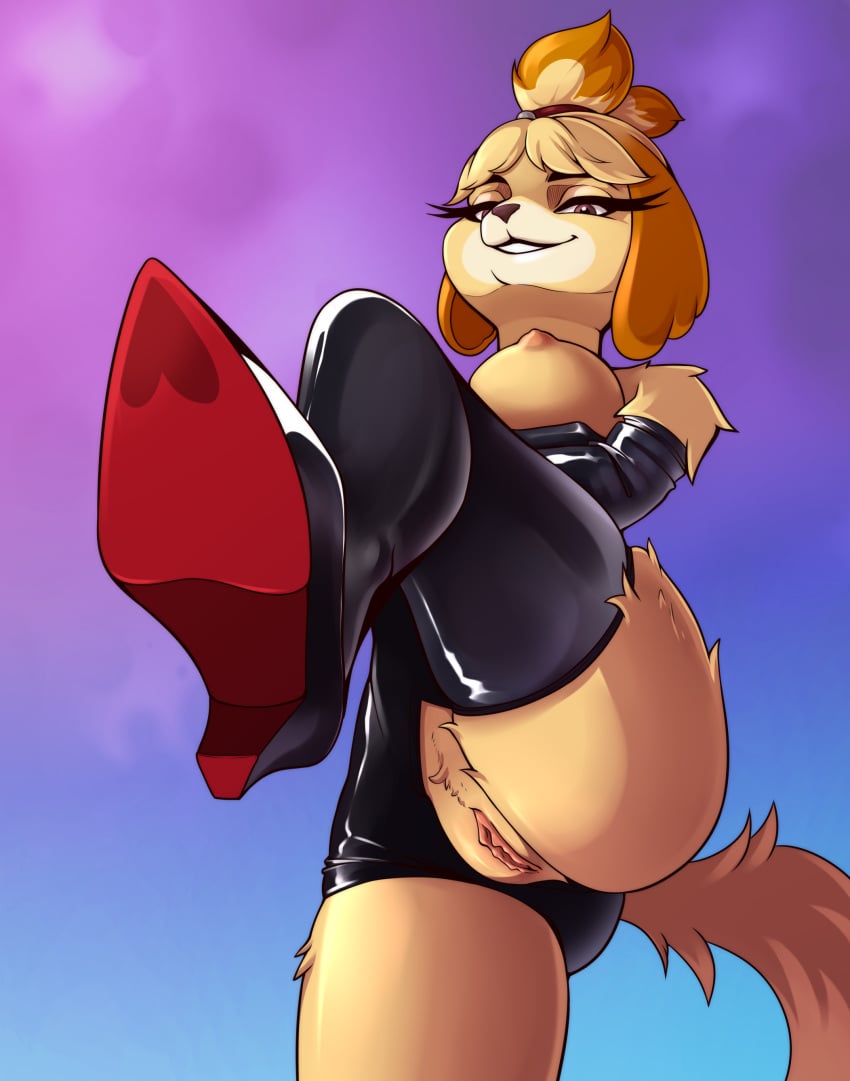 2025 absurd_res accessory animal_crossing anthro areola armwear ass bdsm_outfit big_butt biped black_armwear black_clothing black_footwear black_latex black_legwear black_shoes black_stockings blonde_hair blue_background bondage boots breasts brown_body brown_eyes brown_fur brown_hair brown_nose canid canine canis cel_shading clothed clothing digital_drawing_(artwork) digital_media_(artwork) domestic_dog dominant dominant_anthro dominant_female dominatrix eyebrows eyelashes feet female female_anthro foot_focus footwear fur genitals gloves gradient_background hair hair_accessory hairband handwear heart_symbol hi_res high_heeled_boots high_heels humanoid_genitalia isabelle_(animal_crossing) latex latex_armwear latex_boots latex_clothing latex_footwear latex_gloves latex_handwear latex_legwear latex_stockings legwear long_ears low-angle_view malkytea mammal medium_breasts multicolored_body multicolored_fur narrowed_eyes nintendo nipples orange_body orange_fur orange_hair partially_clothed pink_areola pink_nipples pink_vulva presenting presenting_vulva purple_background pussy red_clothing red_footwear red_shoes shaded shoe_fetish shoes short_hair simple_background smile smiling_at_viewer solo stockings tail tan_body tan_fur thick_thighs thigh_boots thigh_highs two_tone_body two_tone_fur two_tone_tail underwear vulva white_body white_fur wide_hips yellow_body yellow_fur yellow_tail