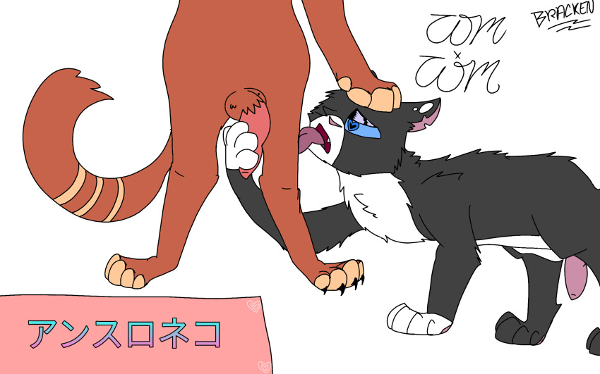 <3_eyes 16:10 anthro balls black_fur blue_eyes claws felid feline felis fur handjob heart hi_res invalid_tag japanese_text licking male male/male mammal orange_fur paws penile penis sex spots standing text tongue tongue_out white_belly white_paws_(disambiguation) white_spots