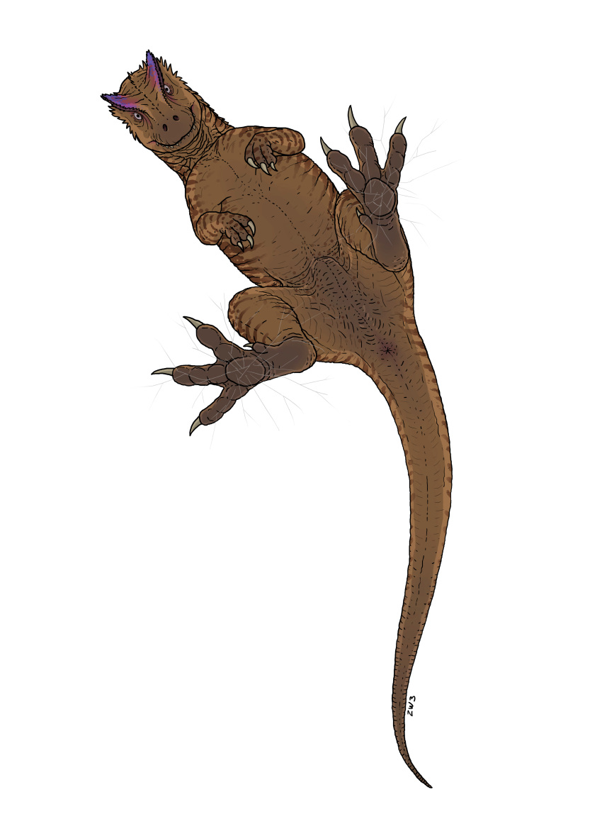 2019 4_toes absurd_res allosaurid allosaurus ambiguous_gender animal_genitalia ass biped breaking broken_glass brown_skin claws cloaca cracked_glass crest darkened_genitals digital_media_(artwork) digitigrade dinosaur feet feet_on_glass feral hi_res imminent_pain looking_at_viewer low-angle_view nude on_glass reptile scalie simple_background solo teeth theropod toes white_background zw3