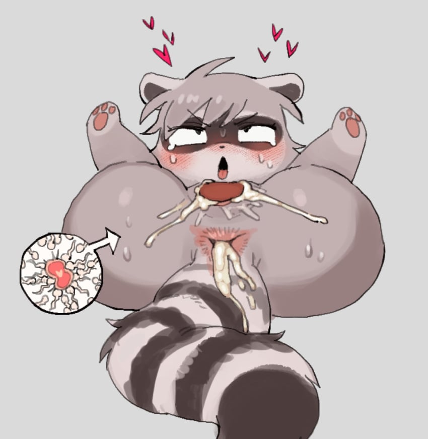 1boy after_anal after_vaginal animal_ears batrobin_k blue_eyes cum cum_in_pussy domino_mask female fertilization furry furry_female grey_background highres male mask original ovum pawpads pussy raccoon raccoon_ears raccoon_girl raccoon_tail short_hair simple_background sperm_cell tail