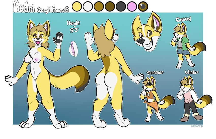 2019 anthro audri breasts canid canine canis clothing digital_media_(artwork) domestic_dog female fennec fox herding_dog hybrid mammal model_sheet nipples nude pastoral_dog pussy standing text welsh_corgi zipzap