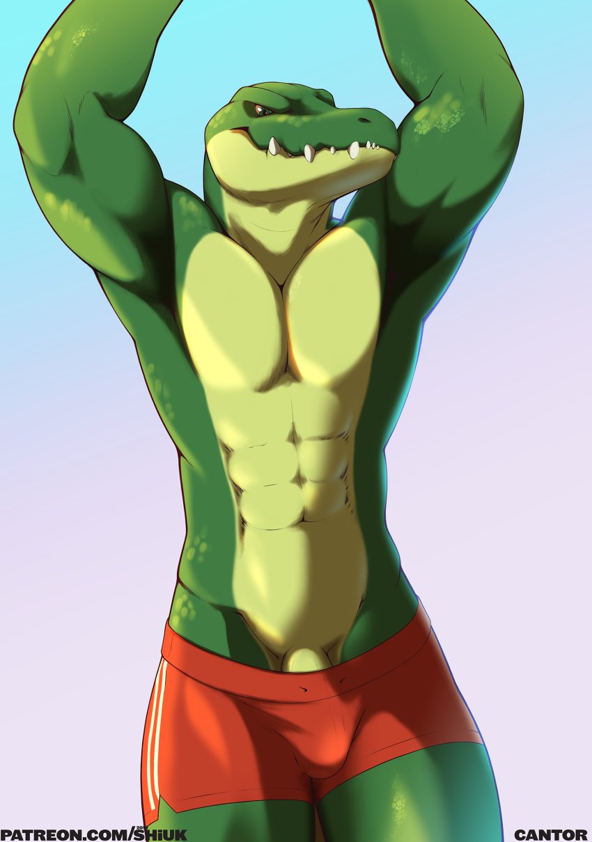 2019 abs absurd_res alligator alligatorid anthro biceps biped boxers_(clothing) cantor_(hextra) clothed clothing crocodilian digital_media_(artwork) front_view gradient_background green_eyes green_scales hands_above_head hextra hi_res male male_only muscular muscular_male pecs penis penis_base red_clothing red_underwear reptile scales scalie shiuk simple_background solo standing teeth topless underwear url