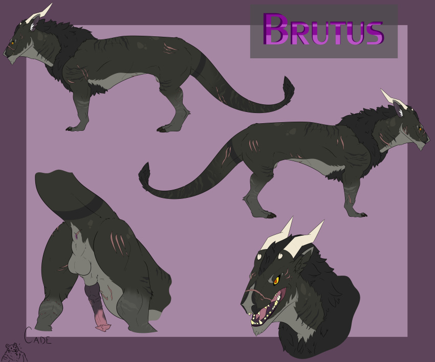 absurd_res animal_genitalia anus artist_cade balls brutus felkin feral hi_res horn male male_only model_sheet scar sheath simple_background solo