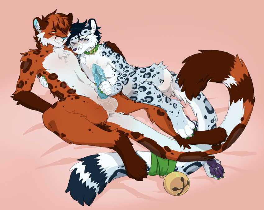 absurd_res anthro bell claw_covers collar cuddling duo eyewear felid glasses handjob hi_res holding_another looking_at_another male male/male mammal pantherine pawpads paws penile raised_leg sex snow_leopard tbdborzoi