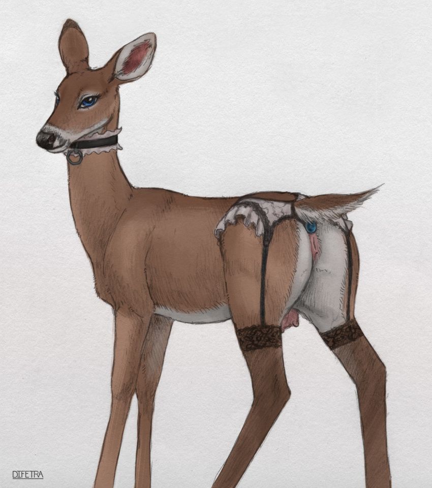 2019 anal anal_sex ass blue_eyes buttplug capreoline cervid clothing collar difetra female feral garter_straps hi_res legwear lingerie looking_at_viewer mammal penetration pussy quadruped sex_toy simple_background solo stockings teats white-tailed_deer white_background