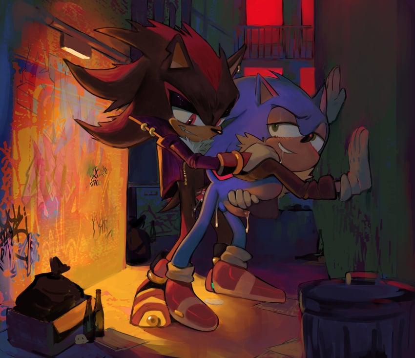 Shadow The Hedgehog (Sonic (Series)) Rule 34 Image