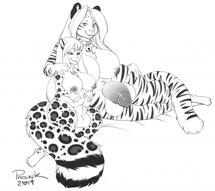 2futas animal_genitalia anthro bell big_breasts breasts collar felid flaccid fully_sheathed furry futa_with_futa futanari gynomorph huge_breasts intersex kasi leopard mammal nipples padunk pantherine penis sheath sinasa size_difference tiger