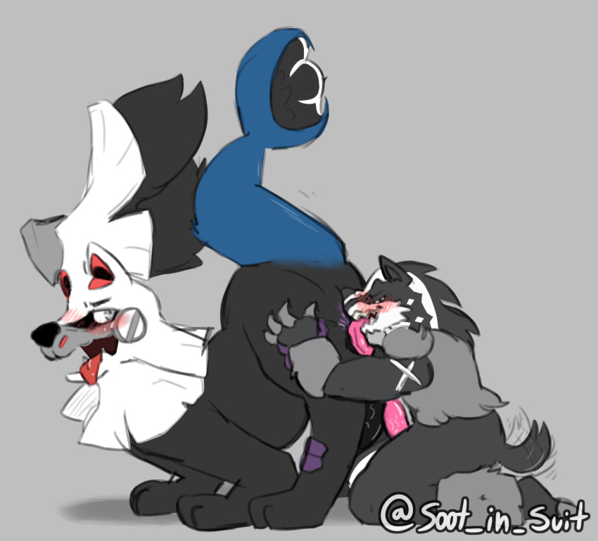 2019 2boys anal anilingus anthro anthro_on_feral ass big_balls big_butt black_penis blush feral from_behind_(disambiguation) gay hand_on_butt hi_res kaiser_(thiccvally) legendary_pokémon male male_only mammal mustelid nintendo obstagoon open_mouth oral original_character penis pink_penis pokémon_(species) pokemon pokemon_sm pokemon_ss presenting presenting_hindquarters raised_tail rear_view silvally simple_background sitting soot_in_suit testicles text tongue video_games watermark yaoi zoophilia