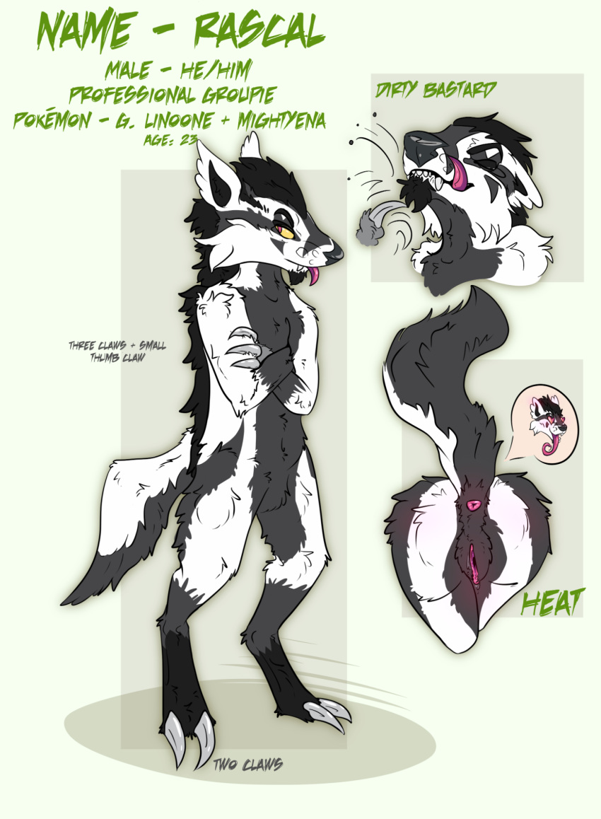 2019 anthro anthrofied anus ass biped black_fur blush bodily_fluids claws cuntboy dark_fur digital_media_(artwork) facial_hair fur fusion genital_fluids heat hi_res hybrid intersex linoone mammal mightyena model_sheet musk mustelid nintendo nude original_character pokémon_(species) pokémorph pokemon pokemon_rse pokemon_ss pussy shockandterror smile standing teeth tongue tongue_out video_games white_fur