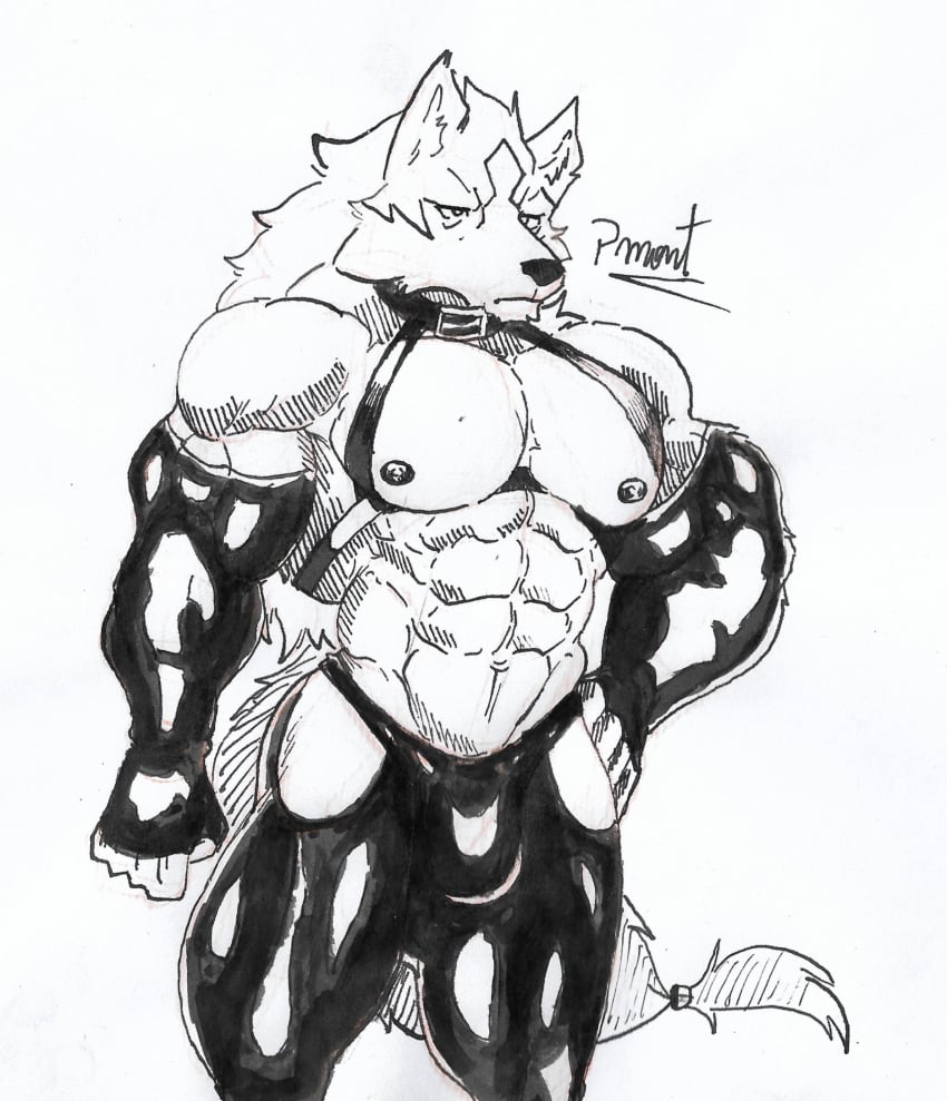 abs anthro barazoku biceps brand_new_animal bulge canid canine canis clothed clothing collar fur hi_res latex latex_clothing male mammal muscular muscular_anthro muscular_male nipples partially_clothed pecs pinumontbalou shirou_ogami solo studio_trigger tail underwear wolf