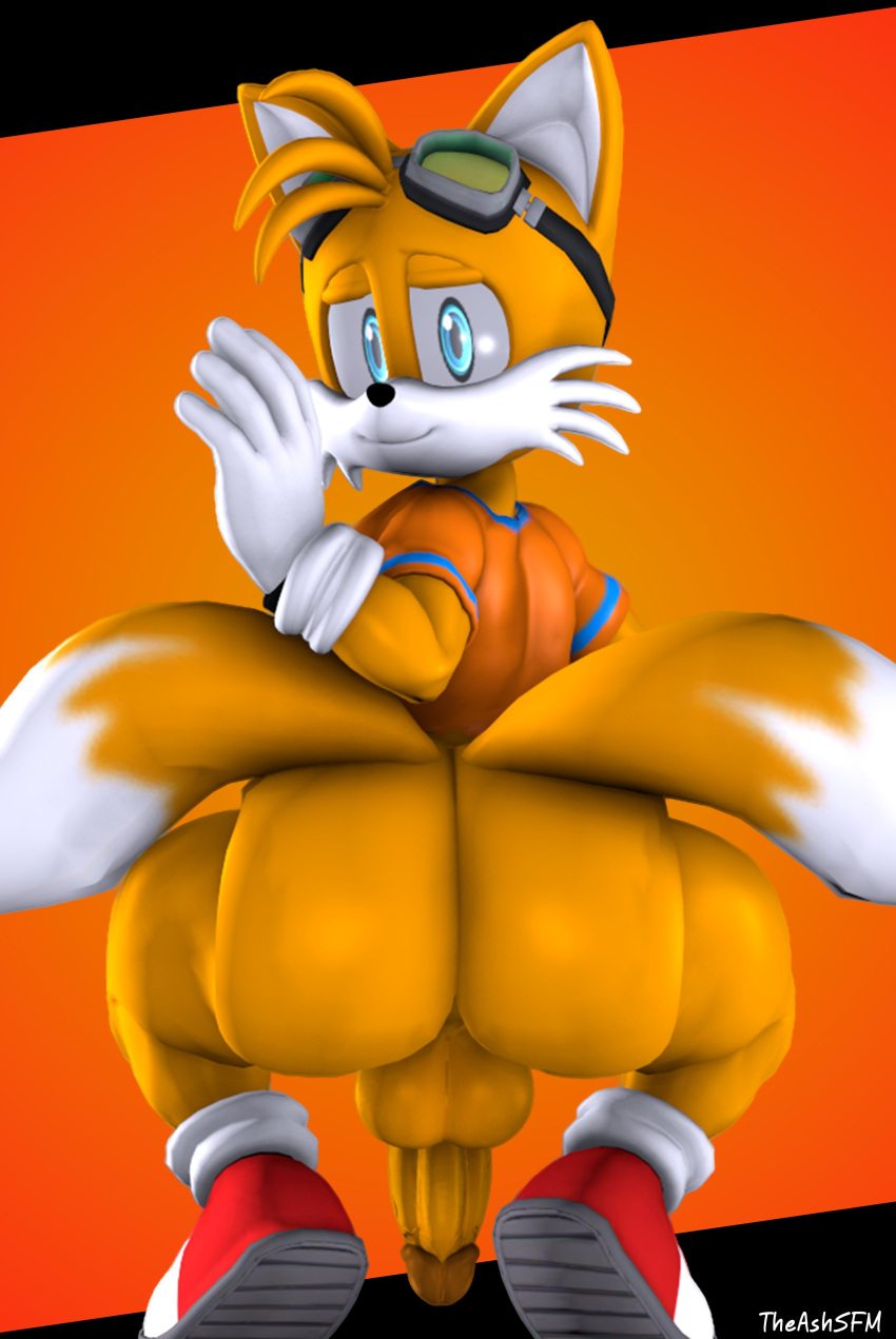 1boy anaconda_pose anthro ass blue_eyes canine horny_male looking_at_viewer looking_back male male_focus male_only miles_prower mobian_(species) penis presenting_anus presenting_hindquarters presenting_penis smile sonic_(series) tails_the_fox theashsfm