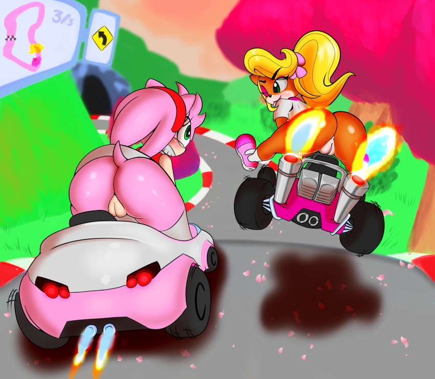 2girls amy_rose anthro ass big_ass blonde_hair blush bottomless coco_bandicoot color crash_(series) crossover female female_only furry furry_only kart outdoors pussy sitting sonic_(series) soulteam takumi takumi-exe uncensored upskirt wink