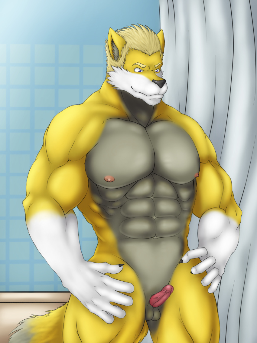 abs anthro balls bathroom black_nose blake blonde_hair canid canine canis claws erection fur glans grey_balls grey_fur hair hi_res ipangherefun male male_only mammal muscular muscular_male nipples nude penis pink_glans pink_penis shower small_balls small_penis solo white_fur wolf yellow_fur