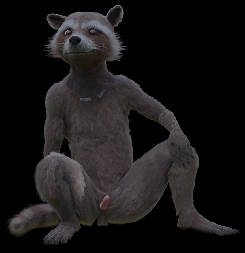 3d anthro balls black_background digital_media_(artwork) disney front_view fur guardians_of_the_galaxy hi_res male male_only mammal marvel nude penis procyonid raccoon rocket_raccoon rockyrcoon simple_background sitting solo spread_legs spreading