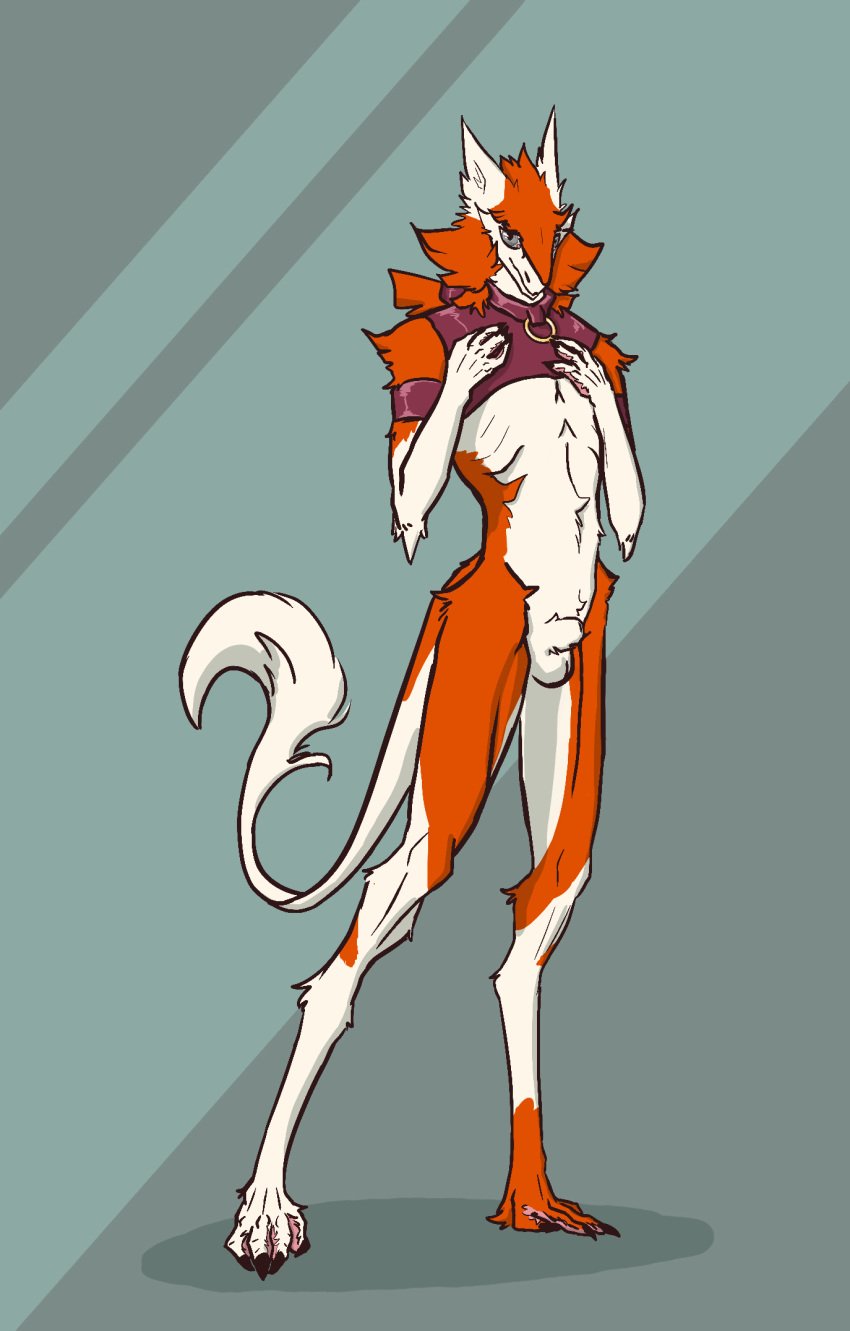 2019 animal_genitalia annoyance anthro balls collar digital_media_(artwork) fully_sheathed fur hi_res looking_at_viewer male nakk nude orange_fur penis presenting sergal sheath simple_background smile solo