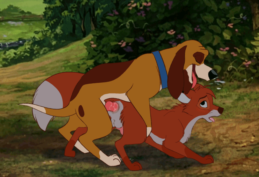 2boys all_fours anal anal_sex animal_genitalia animal_penis animated anus black_nose bodily_fluids breath brown_fur canine canine_penis closed_eyes collar copper_(fath) countershading cum cum_drip cum_while_penetrated dipstick_tail disney dog doggy_style duo ears_back ears_down erection feral feral_on_feral feral_penetrating fox frame_by_frame from_behind_position fur furry gay genital_fluids grass hands-free infinite_cum interspecies knot knotting larger_male long_ears loop male male_only male_penetrated male_penetrating mammal multicolored_tail nude open_mouth orgasm outside panting paws penetration penis pivoted_ears plant rear_view red_fur sex sheath shrub size_difference smaller_male tail tan_countershading testicles the_fox_and_the_hound thin_tail tod_(fath) tongue tongue_out tuwka wet white_countershading yaoi