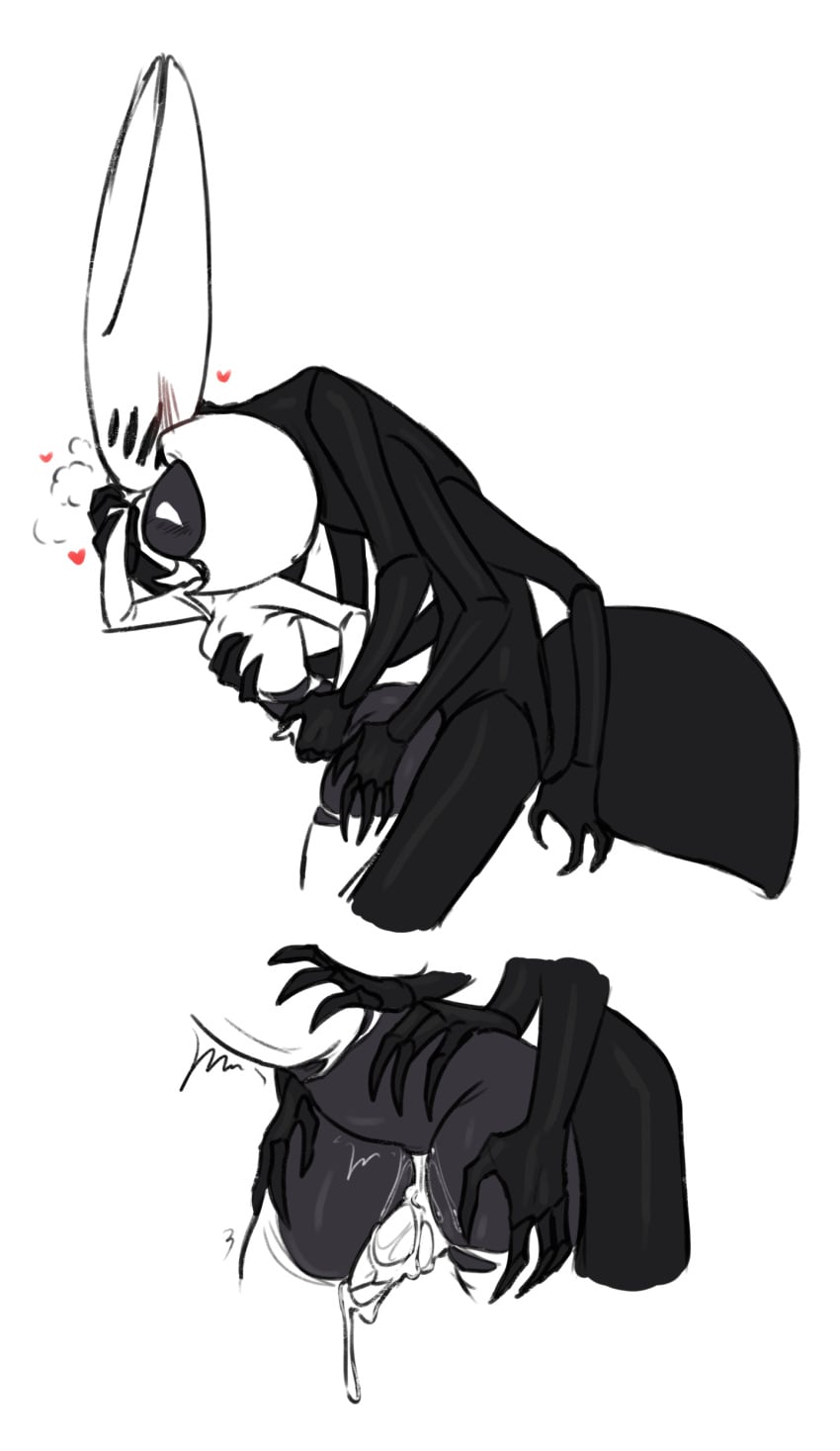Hornet (Hollow Knight) Rule 34 Image