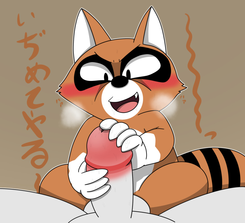 2019 anthro araiguma balls blush bono_bono brown_fur fur handjob hi_res humanoid_hands japanese_text male male_only mammal penile penis procyonid raccoon sex simple_background sitting takuya_tail text uncensored