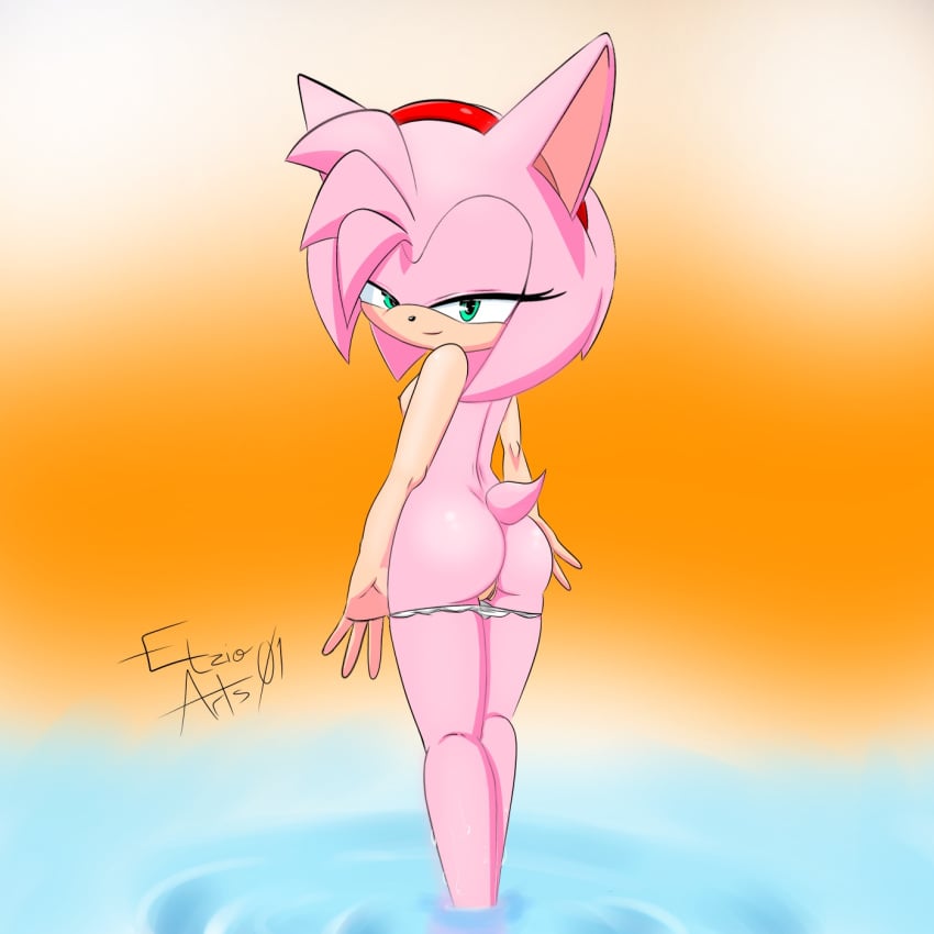 amy_rose ass ass_focus bath earts01 etzioarts01 female_only mobian_(species) pose sonic_(series)