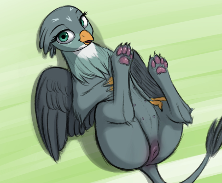 2019 4_toes avian beak eyelashes feathered_wings feathers female friendship_is_magic fur furry gabby_(mlp) gryphon looking_at_viewer lying mercurial64 my_little_pony on_back pussy solo toes wings