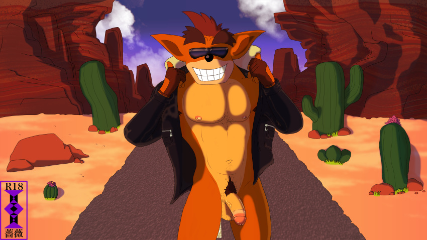 activision anthro anthro_only balls bottomless cactus circumcised circumcision_scar coat crash_(series) crash_bandicoot crash_bandicoot:_warped desert furry furry_only glasses hairy_balls jacket leather_jacket male male_only nipples orange_body orange_fur orange_hair penis raven2dx road smile sunglasses teeth