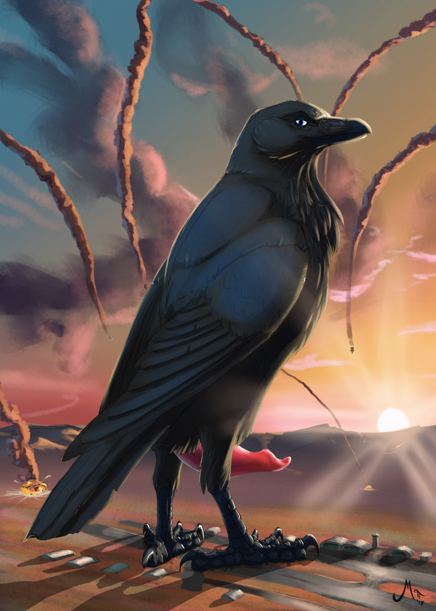 airplanes apothem australian_raven avian beak bird claws corvid corvus_(genus) deity erection explosion feet feral hangars macro magpi male male_only military_base penis raven_(bird) sunset talons tapering_penis