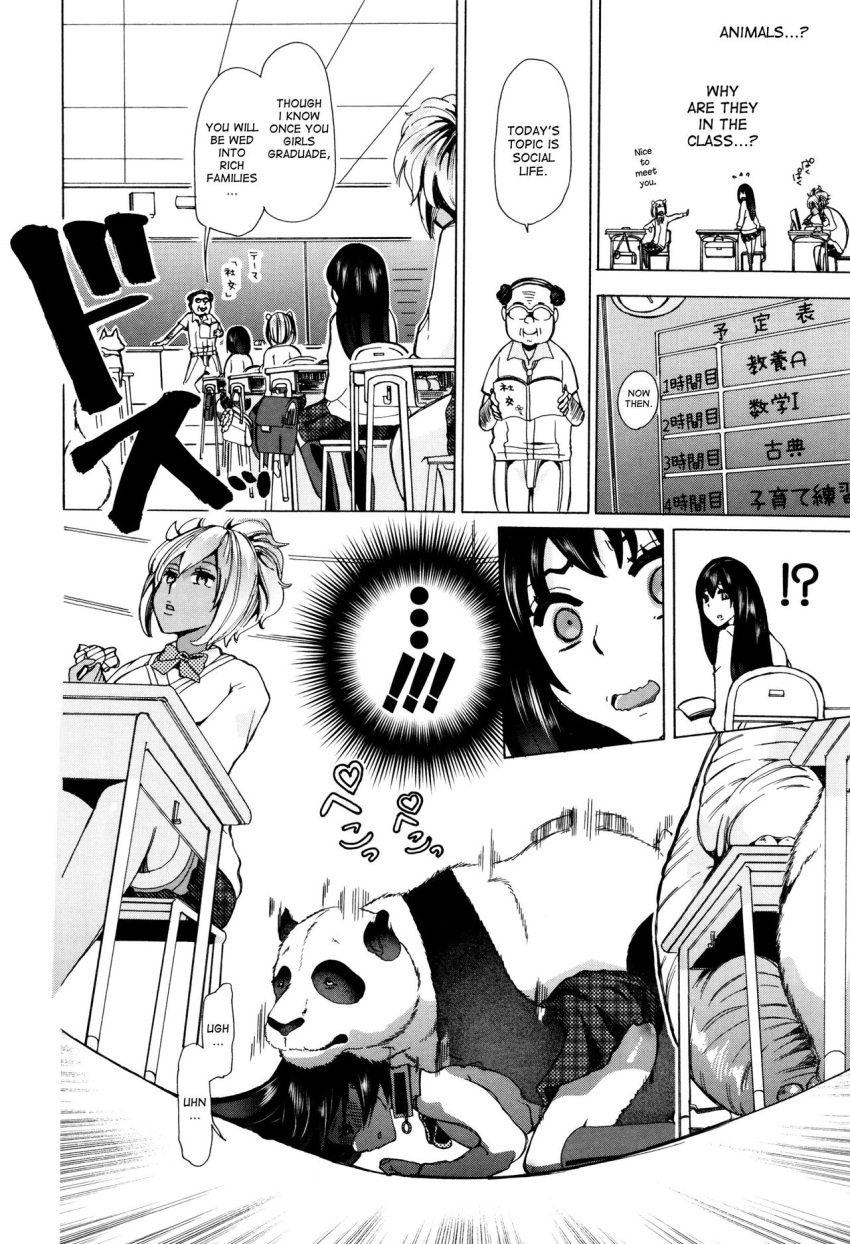 !!! !? 3animals 4girls bestiality chikiko classroom dialogue doggy_style female_on_feral feral juukan_kyoushitsu_-_bestiality_class larger_feral mizutani_(bestiality_classroom) panda school school_uniform size_difference smaller_female speech_bubble surprised zoophilia