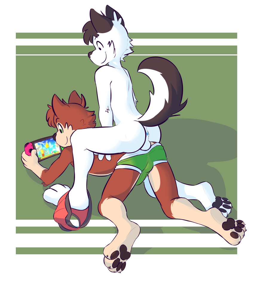 2019 2boys absurd_res anthro anus backsack balls brown_fur bulge canid canine canis clothing digital_media_(artwork) domestic_dog duo fur gay green_eyes green_underwear hi_res kneeling male male/male male_only mammal markydraws nintendo nintendo_switch pawpads smile two_tone_tail underwear video_games white_fur yaoi young