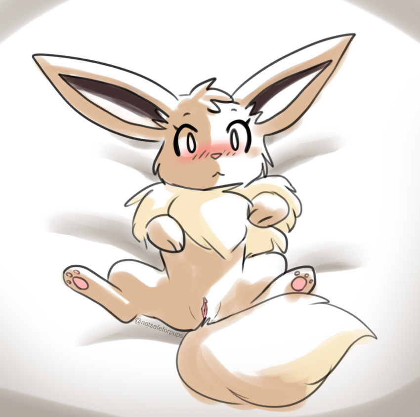 2020 3_toes blush brown_body brown_fur eevee female feral fluffy fluffy_tail fur genitals looking_at_viewer lying neck_tuft nintendo on_back pawpads paws pokémon_(species) pokemon pokemon_rgby pussy quadruped rainypaws simple_background solo toes tuft video_games