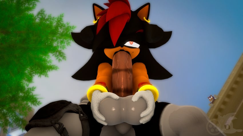 3d_(artwork) adam_(juicyducksfm) anthro balls big_balls big_penis bodysuit canid canine canis city city_background clothing damaged_clothing digital_media_(artwork) duo ear_piercing eulipotyphlan fan_character female footwear genitals gloves half-closed_eyes hand_on_balls handwear hedgehog hi_res holding_another juicyducksfm lipstick lipstick_on_penis makeup male male/female mammal masturbation muscular muscular_anthro muscular_male narrowed_eyes nipple_piercing nipples oral oral_penetration penetration penis piercing rule_63 sega sex shade_the_hedgehog shadow_the_hedgehog shoes skinsuit sonic_(series) sonic_the_hedgehog sonic_the_hedgehog_(series) source_filmmaker_(artwork) standing standing_sex tight_clothing upside-down upside_down_fellatio