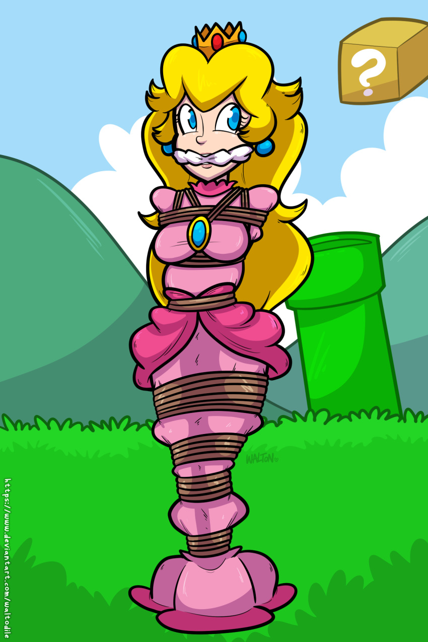 1girls blonde_hair blue_eyes bondage cleave_gag clothed clothing crown dress earrings female female_only full_body gag human jewelry long_hair mario_(series) nintendo outdoors pink_dress princess_peach rope solo standing super_mario_bros. waltodile