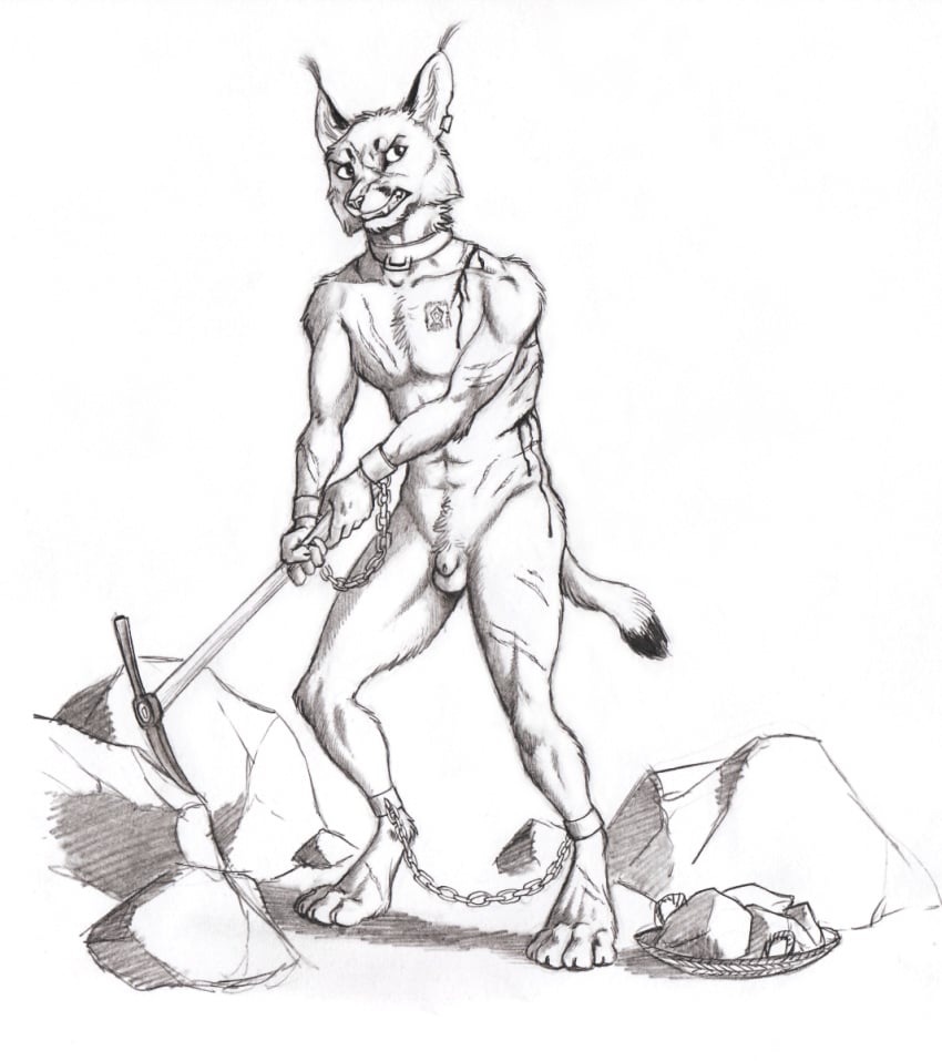 0laffson 4_toes 5_fingers anthro balls caracal caracal_(genus) digitigrade ear_piercing ear_ring felid feline fingers hi_res holding_object hybrid lynx male male_only mammal nude penis piercing sketch solo standing teeth toes traditional_media_(artwork)