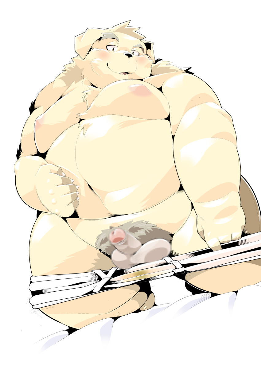 2020 absurd_res anthro balls belly blush canid canine canis clothing domestic_dog genitals hi_res humanoid_genitalia humanoid_hands humanoid_penis kemono male male_only mammal moobs namihira_kousuke nipples overweight overweight_anthro overweight_male penis pubes sigenoya simple_background solo takotyutyu trouble_(series) underwear white_background