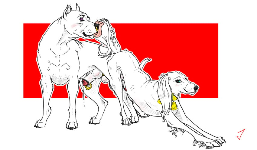 animal_genitalia canid canine canis dogo dogo_argentino domestic_dog duo feral feral_on_feral hi_res hunting_dog jambalayathepit knot male male/male mammal mastiff molosser saluki sighthound