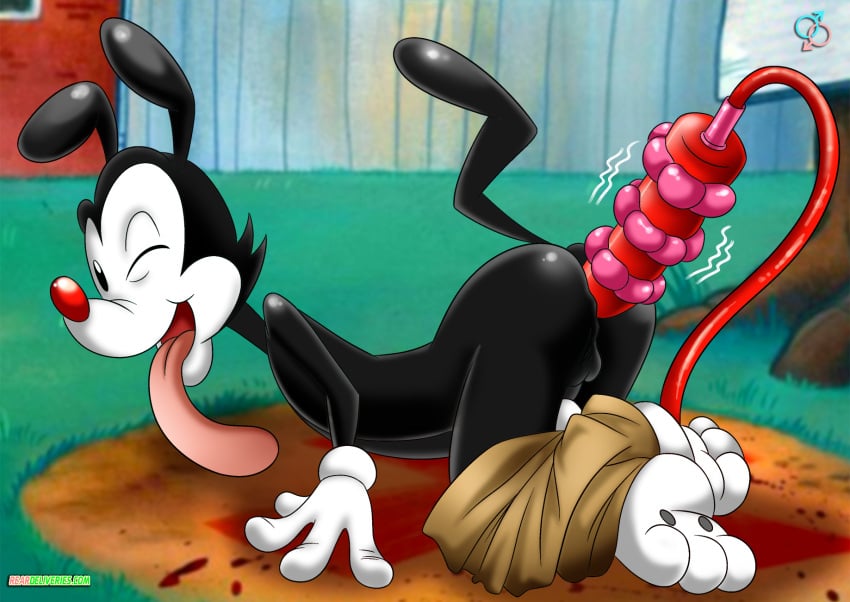 Anal Rule 34 Image
