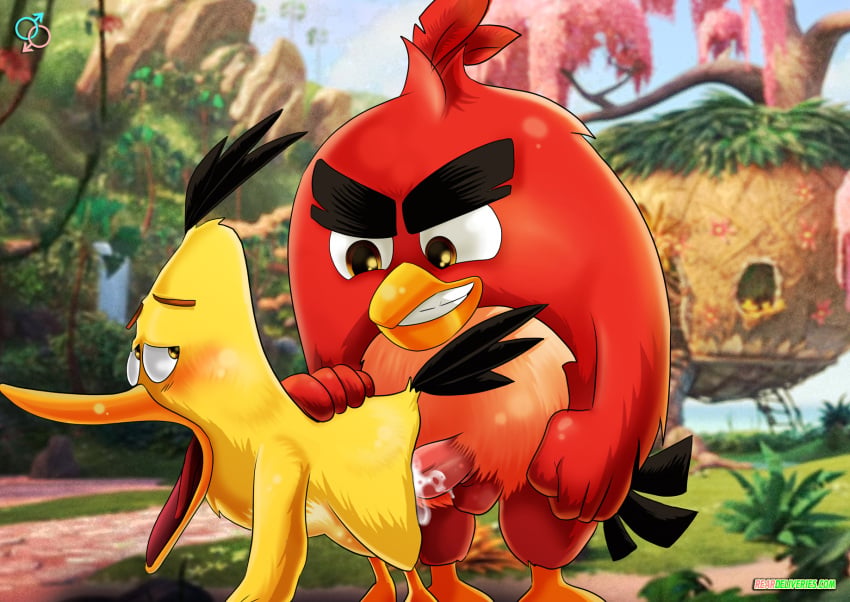 Chuck (Angry Birds) Rule 34 Image