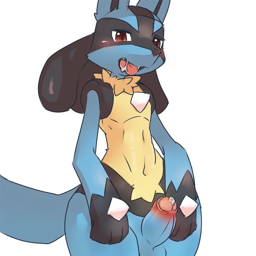 1:1 2019 anthro balls black_fur blue_fur erection fur hi_res kesu_pu lucario male male_only nintendo nude penis pokemon pokemon_(species) red_eyes solo uncut video_games yellow_fur