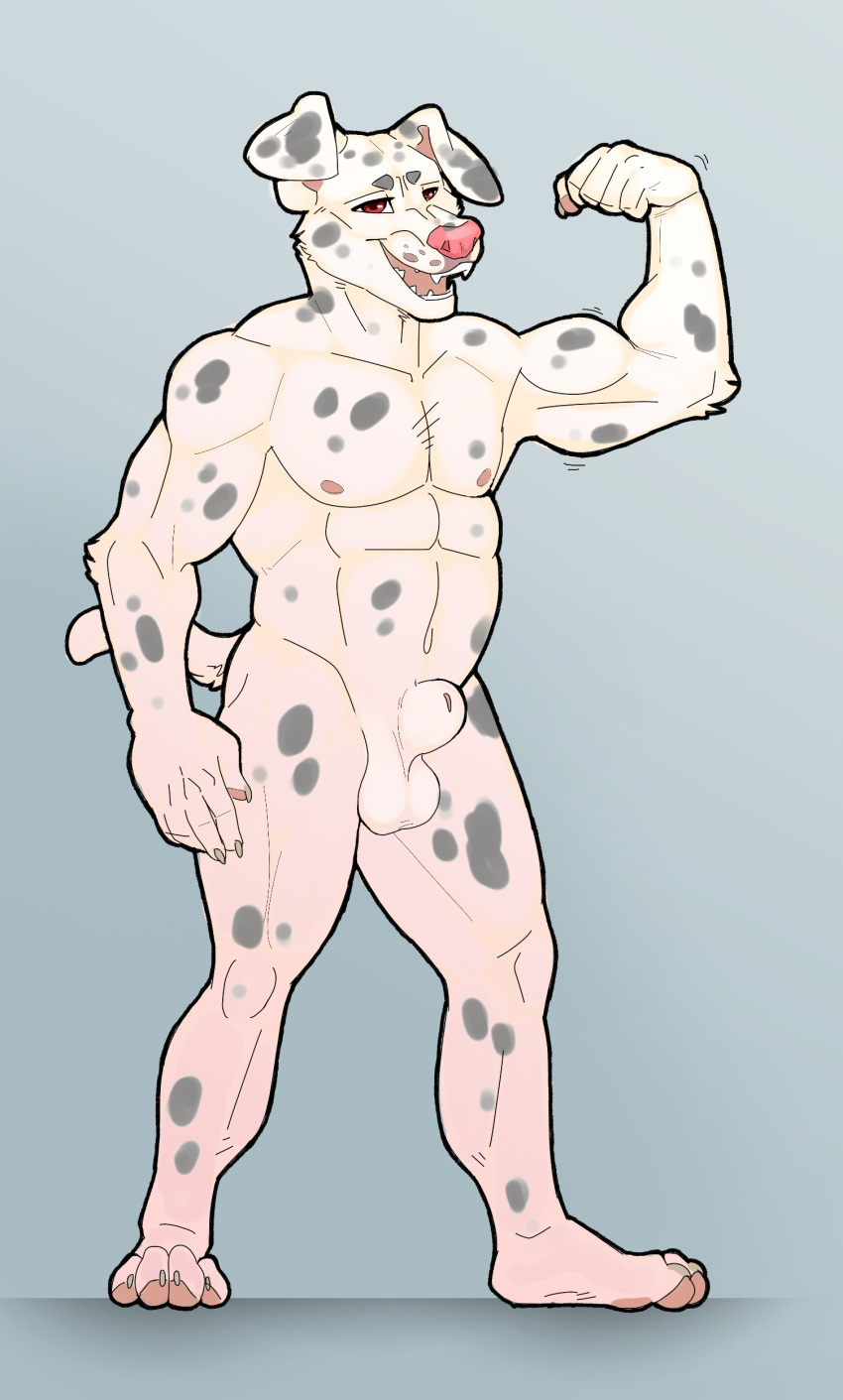 1boy absurd_res albino animal_genitalia anthro anthrofied big_sheath big_testicles canine dalmatian feet fisis flaccid flexing fully_sheathed furry hi_res male male_only mammal musclegut muscles muscular muscular_male penis sheath smile solo source_request spots testicles thick_thighs